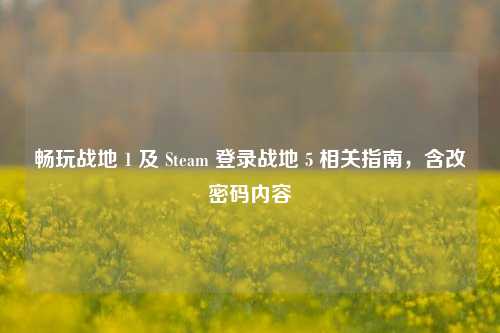 畅玩战地 1 及 Steam 登录战地 5 相关指南，含改密码内容