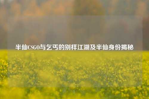 半仙CSGO与乞丐的别样江湖及半仙身份揭秘