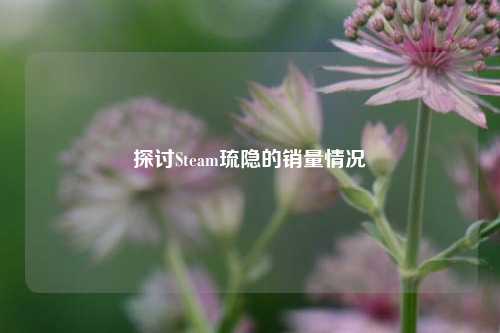 探讨Steam琉隐的销量情况