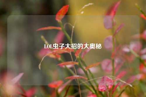 LOL虫子大招的大奥秘