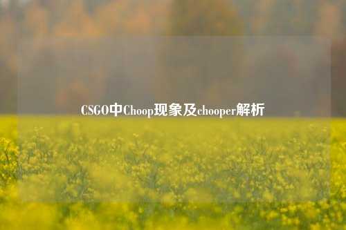 CSGO中Choop现象及chooper解析