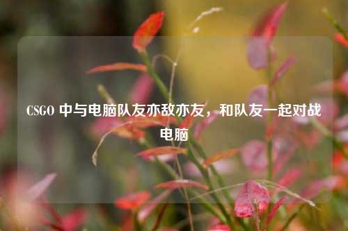 CSGO 中与电脑队友亦敌亦友，和队友一起对战电脑
