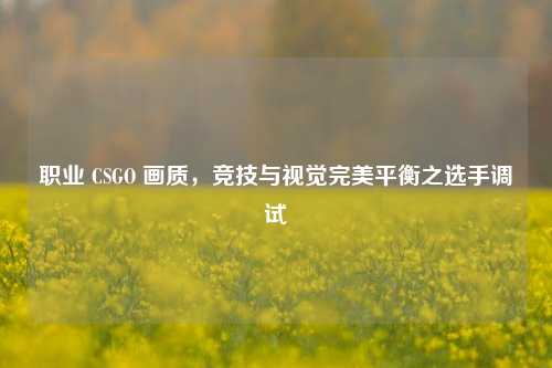 职业 CSGO 画质，竞技与视觉完美平衡之选手调试