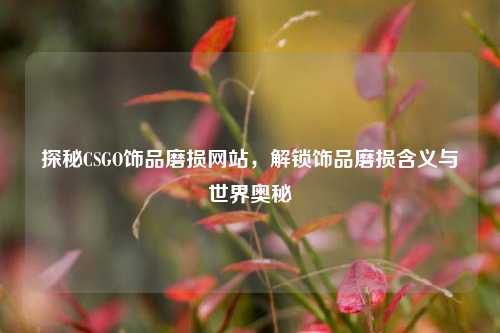 探秘CSGO饰品磨损网站，解锁饰品磨损含义与世界奥秘