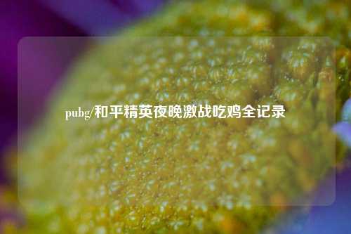 pubg/和平精英夜晚激战吃鸡全记录