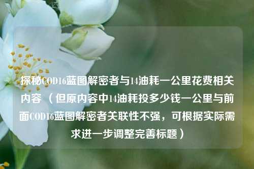 探秘COD16蓝图解密者与14油耗一公里花费相关内容 （但原内容中14油耗投多少钱一公里与前面COD16蓝图解密者关联性不强，可根据实际需求进一步调整完善标题）