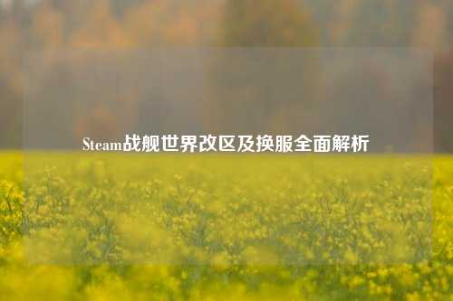 Steam战舰世界改区及换服全面解析