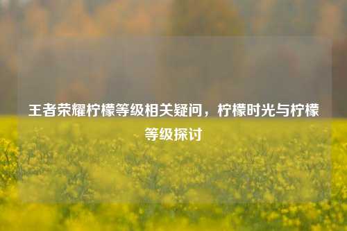王者荣耀柠檬等级相关疑问，柠檬时光与柠檬等级探讨