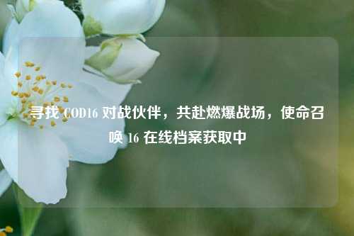寻找 COD16 对战伙伴，共赴燃爆战场，使命召唤 16 在线档案获取中