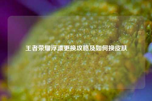 王者荣耀浮漂更换攻略及如何换皮肤