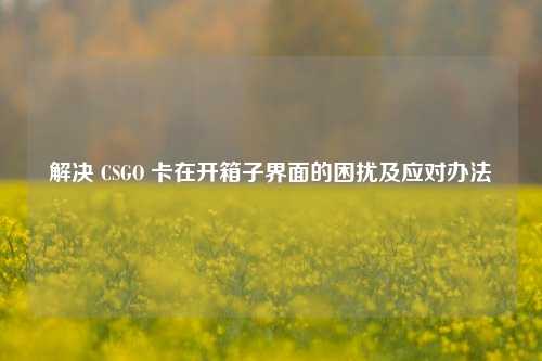 解决 CSGO 卡在开箱子界面的困扰及应对办法