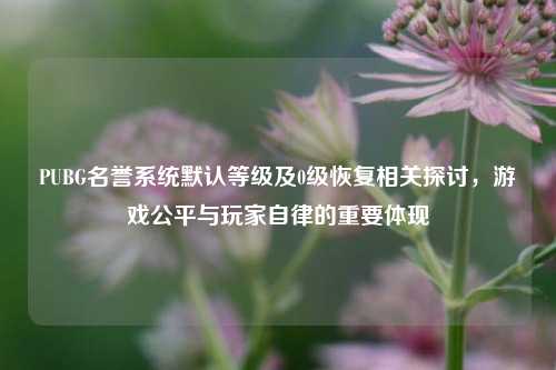 PUBG名誉系统默认等级及0级恢复相关探讨，游戏公平与玩家自律的重要体现