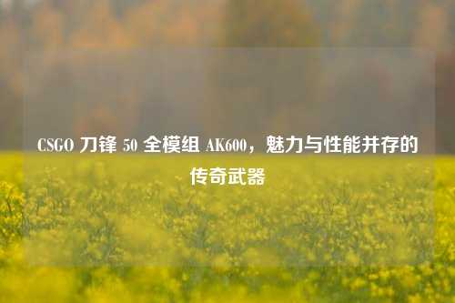 CSGO 刀锋 50 全模组 AK600，魅力与性能并存的传奇武器