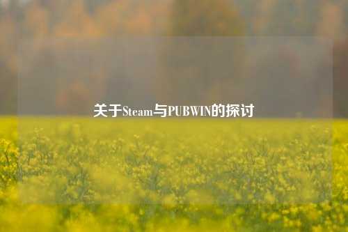 关于Steam与PUBWIN的探讨
