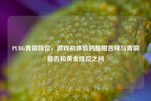 PUBG青铜段位，游戏初体验的酸甜苦辣与青铜能否和黄金排位之问