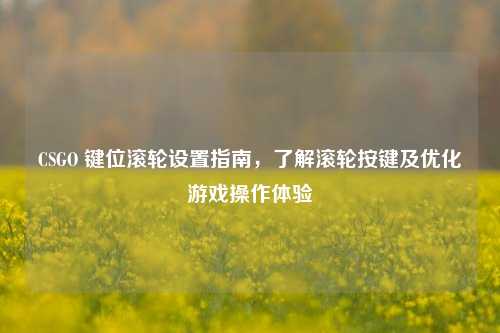 CSGO 键位滚轮设置指南，了解滚轮按键及优化游戏操作体验