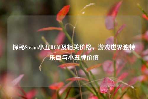 探秘Steam小丑BGM及相关价格，游戏世界独特乐章与小丑牌价值