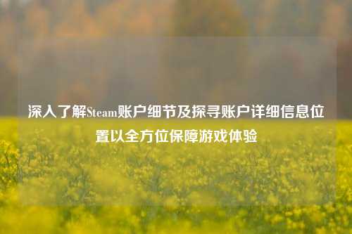 深入了解Steam账户细节及探寻账户详细信息位置以全方位保障游戏体验