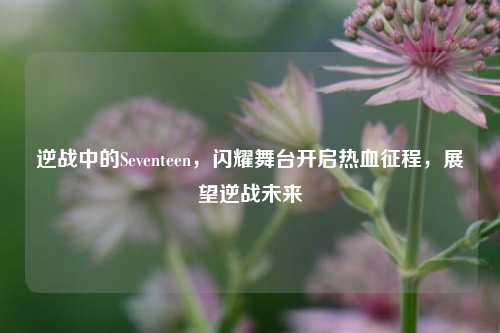逆战中的Seventeen，闪耀舞台开启热血征程，展望逆战未来