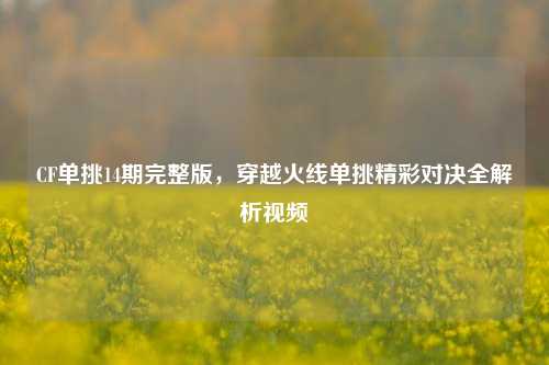 CF单挑14期完整版，穿越火线单挑精彩对决全解析视频