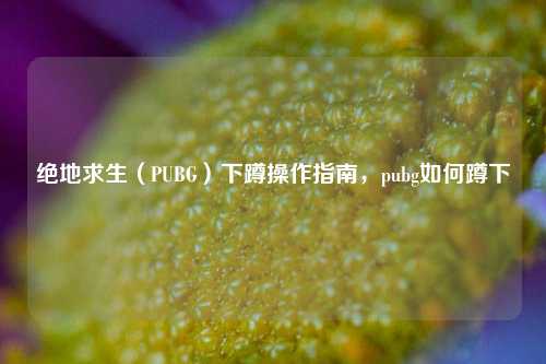 绝地求生（PUBG）下蹲操作指南，pubg如何蹲下