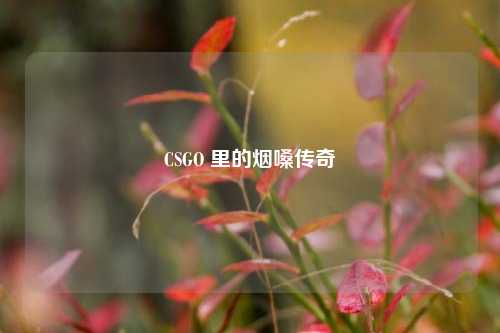 CSGO 里的烟嗓传奇