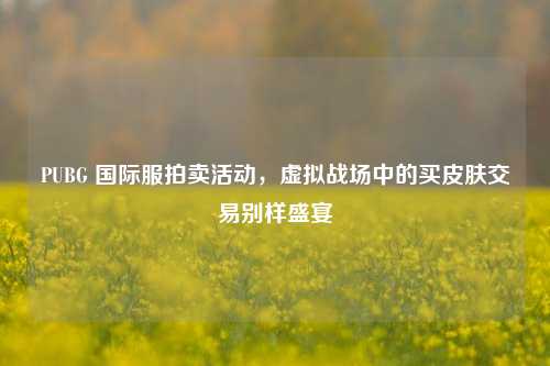 PUBG 国际服拍卖活动，虚拟战场中的买皮肤交易别样盛宴