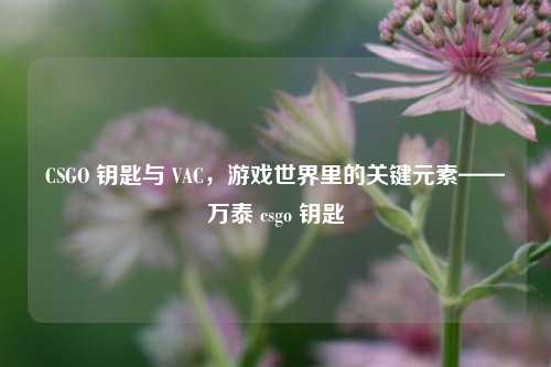 CSGO 钥匙与 VAC，游戏世界里的关键元素——万泰 csgo 钥匙