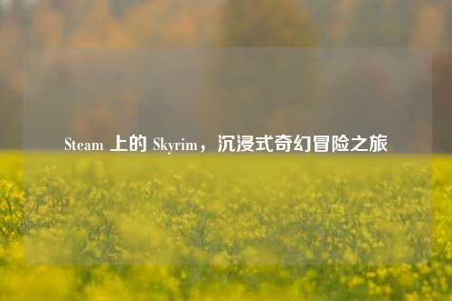Steam 上的 Skyrim，沉浸式奇幻冒险之旅