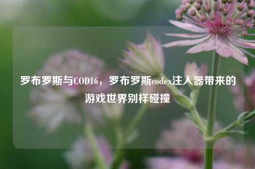 罗布罗斯与COD16，罗布罗斯codex注入器带来的游戏世界别样碰撞