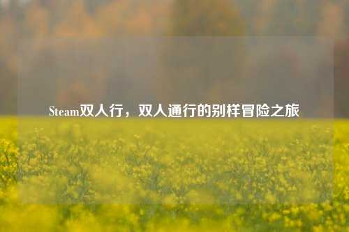 Steam双人行，双人通行的别样冒险之旅