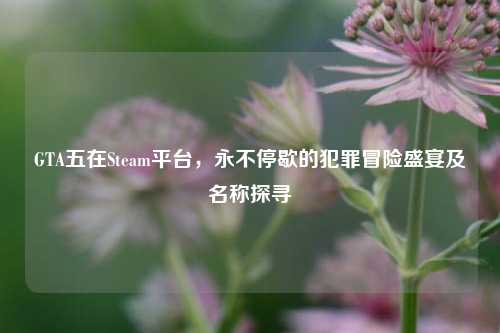GTA五在Steam平台，永不停歇的犯罪冒险盛宴及名称探寻