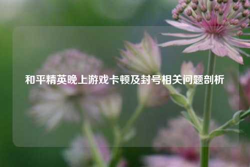 和平精英晚上游戏卡顿及封号相关问题剖析