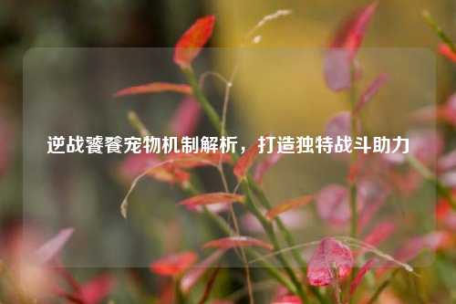 逆战饕餮宠物机制解析，打造独特战斗助力