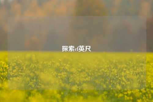 探索cf英尺