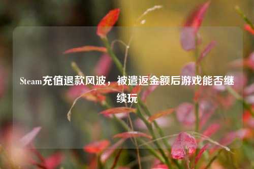Steam充值退款风波，被遣返金额后游戏能否继续玩