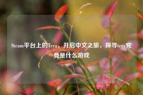 Steam平台上的Tera，开启中文之旅，探寻tera究竟是什么游戏