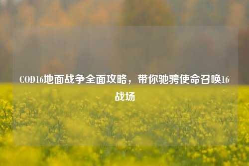 COD16地面战争全面攻略，带你驰骋使命召唤16战场