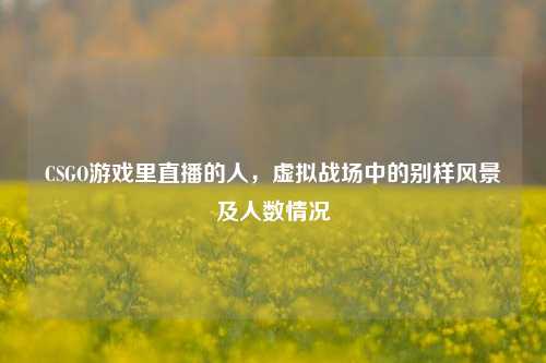 CSGO游戏里直播的人，虚拟战场中的别样风景及人数情况