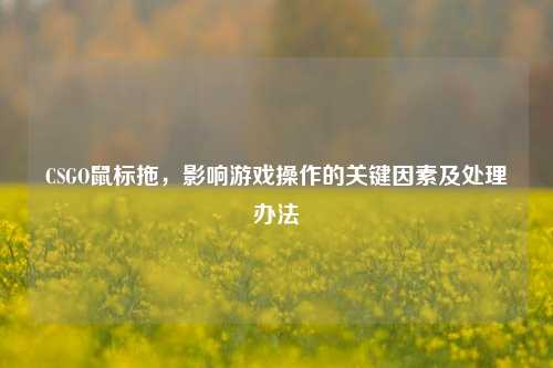 CSGO鼠标拖，影响游戏操作的关键因素及处理办法