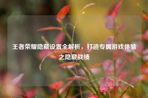 王者荣耀隐藏设置全解析，打造专属游戏体验之隐藏战绩