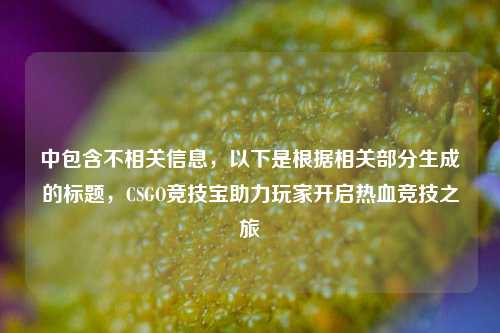 中包含不相关信息，以下是根据相关部分生成的标题，CSGO竞技宝助力玩家开启热血竞技之旅