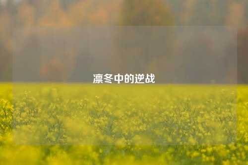 凛冬中的逆战