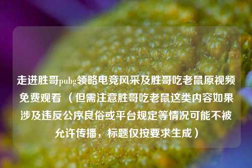 走进胜哥pubg领略电竞风采及胜哥吃老鼠原视频免费观看 （但需注意胜哥吃老鼠这类内容如果涉及违反公序良俗或平台规定等情况可能不被允许传播，标题仅按要求生成）