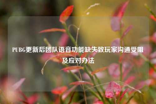 PUBG更新后团队语音功能缺失致玩家沟通受阻及应对办法