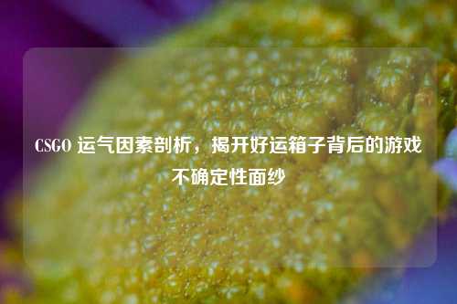 CSGO 运气因素剖析，揭开好运箱子背后的游戏不确定性面纱