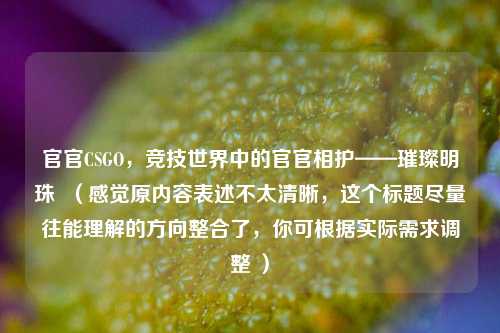 官官CSGO，竞技世界中的官官相护——璀璨明珠  （感觉原内容表述不太清晰，这个标题尽量往能理解的方向整合了，你可根据实际需求调整 ）