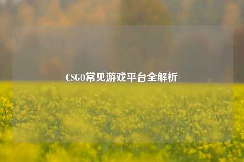 CSGO常见游戏平台全解析