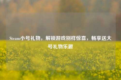 Steam小号礼物，解锁游戏别样惊喜，畅享送大号礼物乐趣