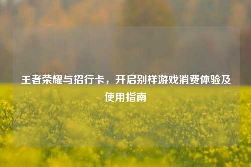 王者荣耀与招行卡，开启别样游戏消费体验及使用指南